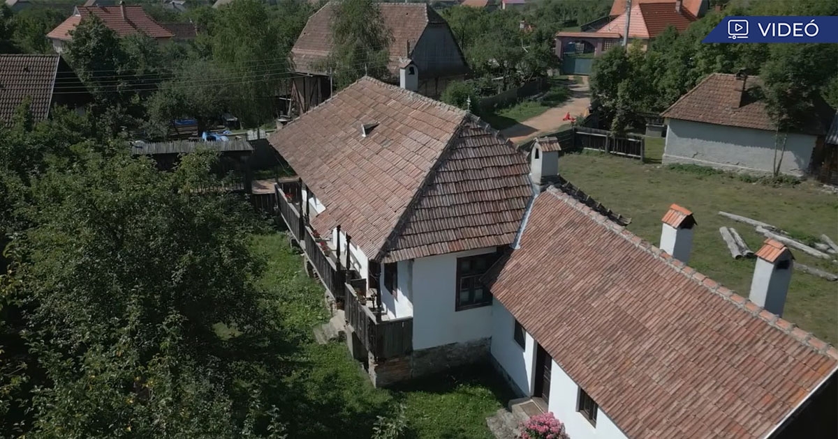 A gyökereink megértése az előrelépésben is segít